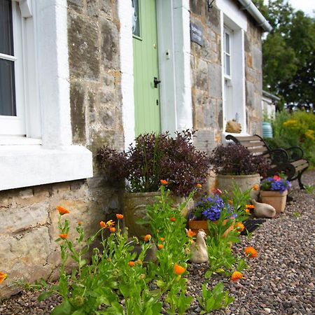 סנט אנדרוס Balmungo Cottage B&B מראה חיצוני תמונה