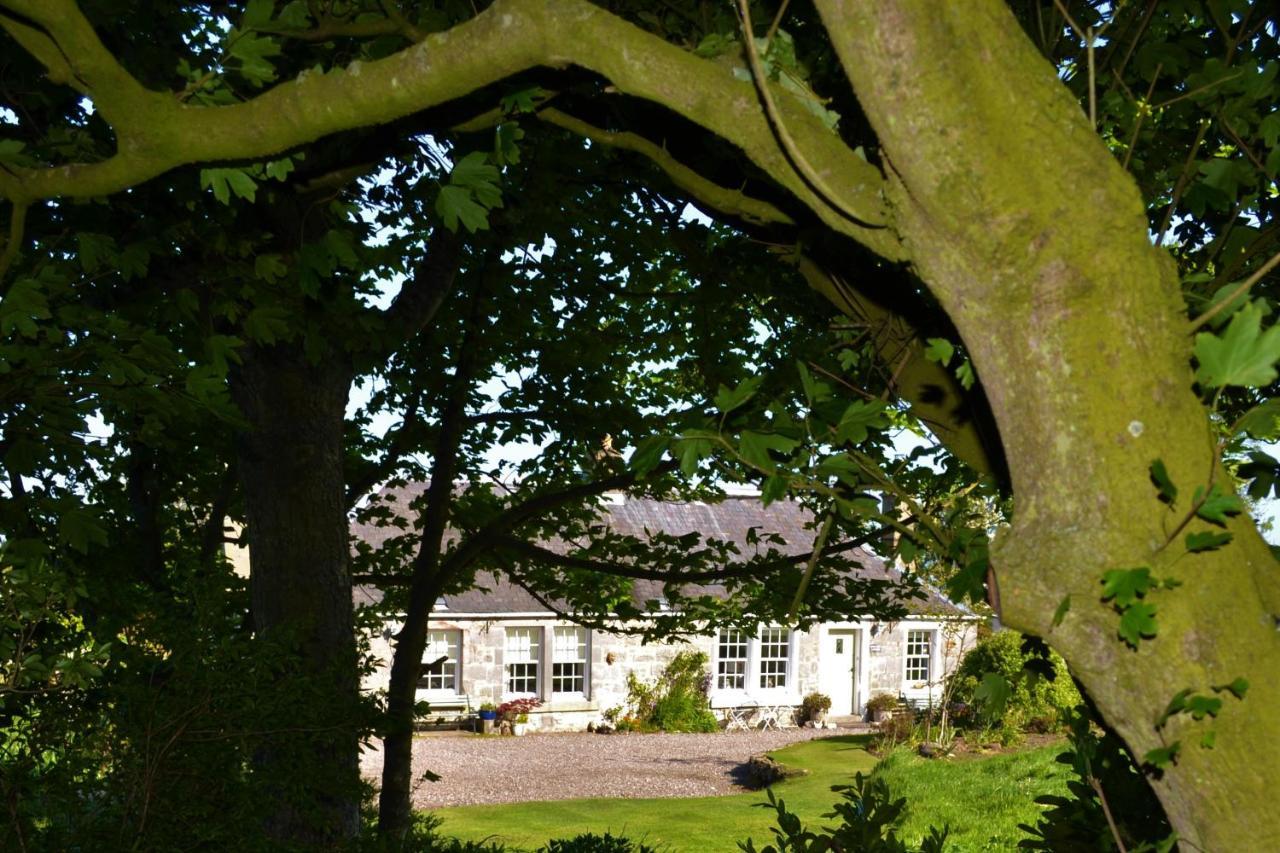 סנט אנדרוס Balmungo Cottage B&B מראה חיצוני תמונה