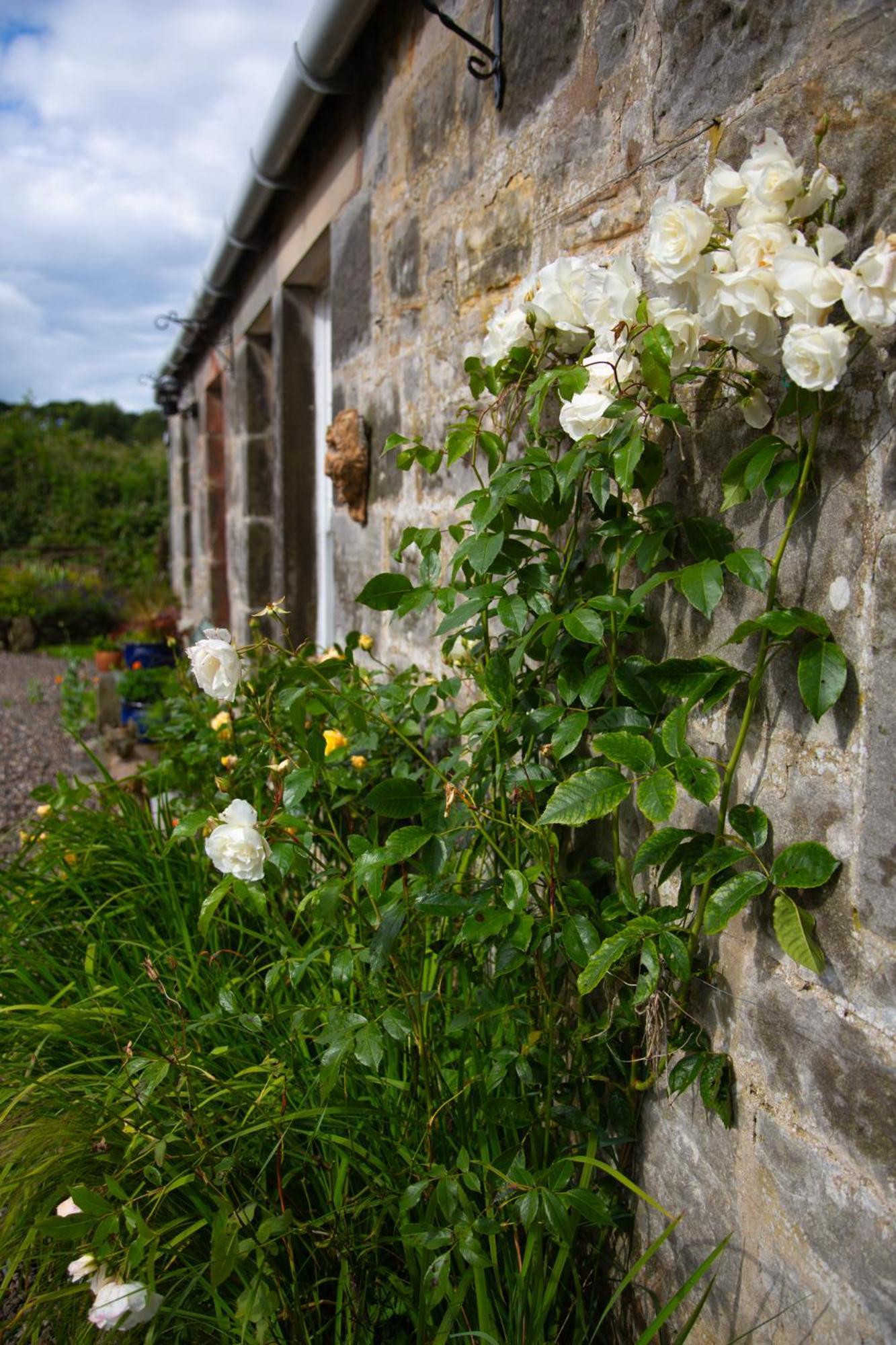 סנט אנדרוס Balmungo Cottage B&B מראה חיצוני תמונה