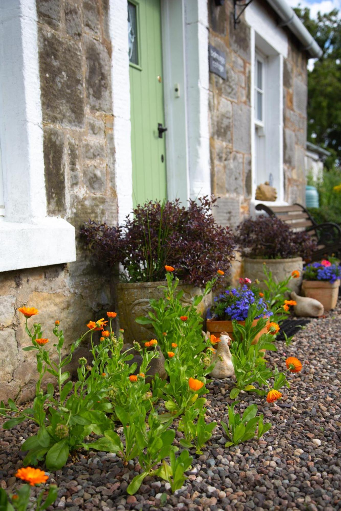 סנט אנדרוס Balmungo Cottage B&B מראה חיצוני תמונה