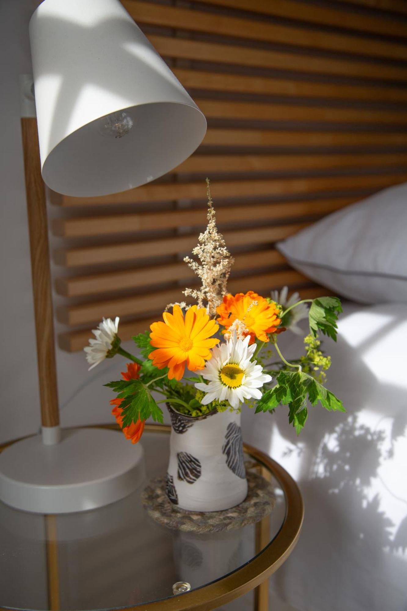 סנט אנדרוס Balmungo Cottage B&B מראה חיצוני תמונה